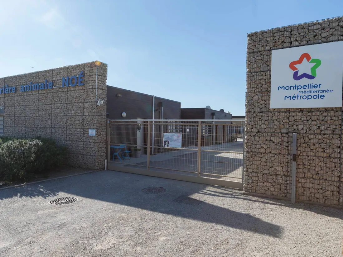 La SPA de Montpellier, à Villeneuve-lès-Maguelone.